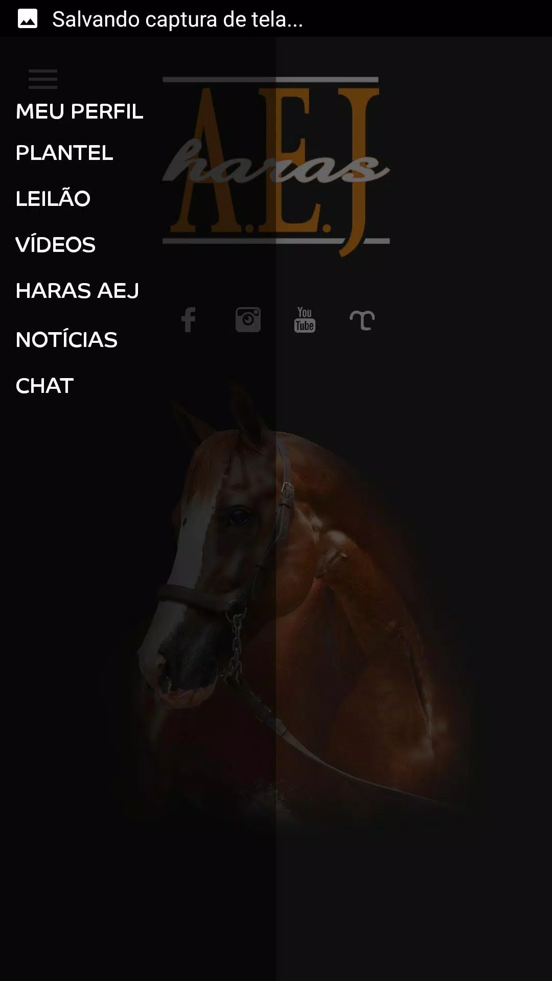 AEJ Captura de pantalla 2