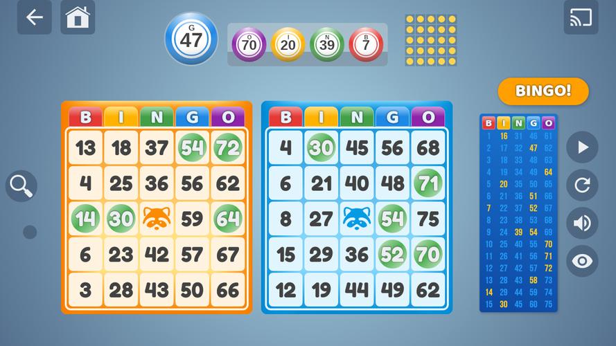 Bingo Set Zrzut ekranu 0