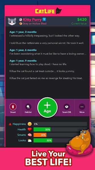 BitLife Cats - CatLife ဖန်သားပြင်ဓာတ်ပုံ 3