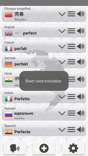 Q Multi Language Translator Ekran Görüntüsü 3