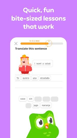 Duolingo : Cours de Langue Capture d'écran 1