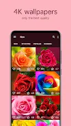 Rose Wallpapers 4K ဖန်သားပြင်ဓာတ်ပုံ 1