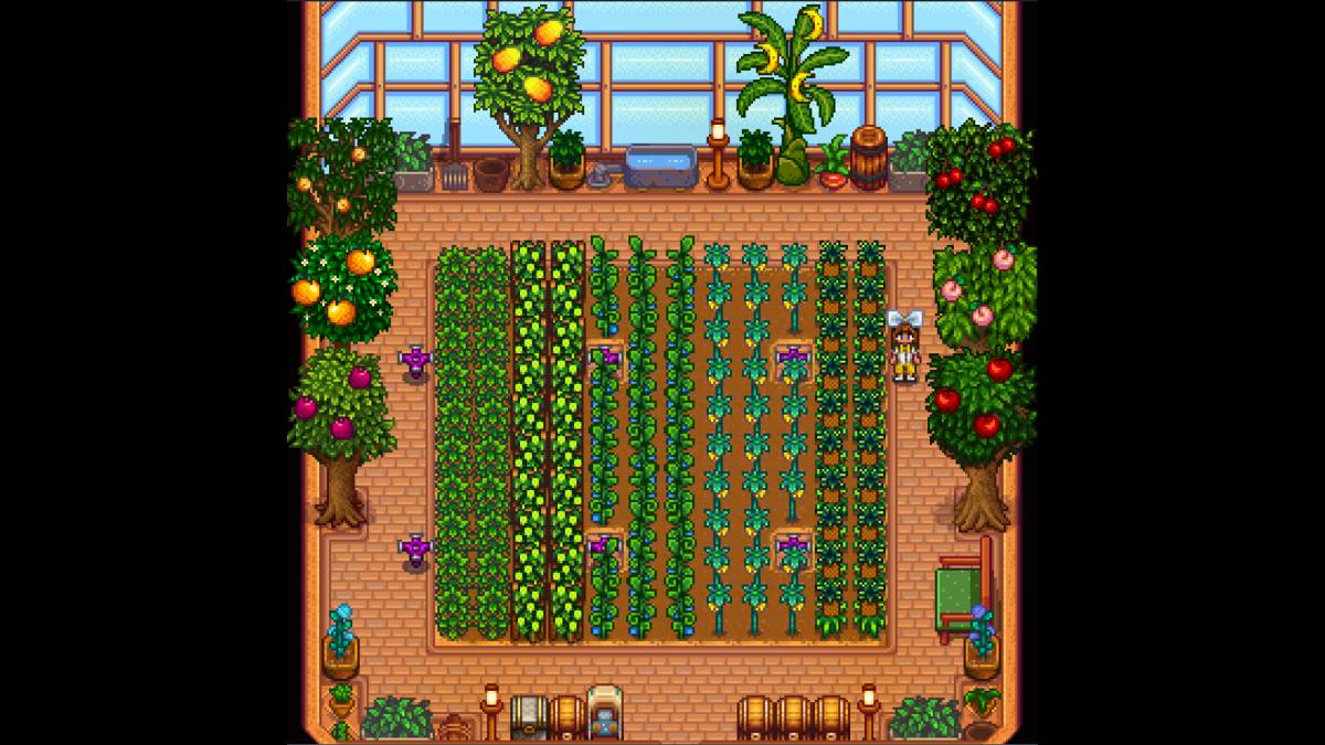 Berapa banyak tumbuhan yang boleh dipegang oleh rumah hijau di Stardew Valley?