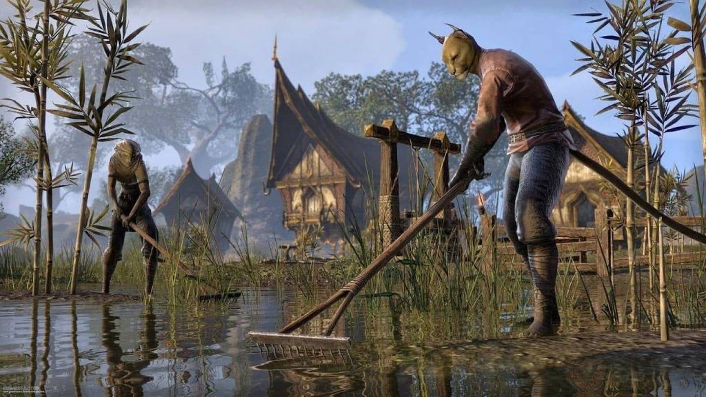 ゲーマーは、Elder Scrolls VIインクルージョンに10万ドルを費やしています