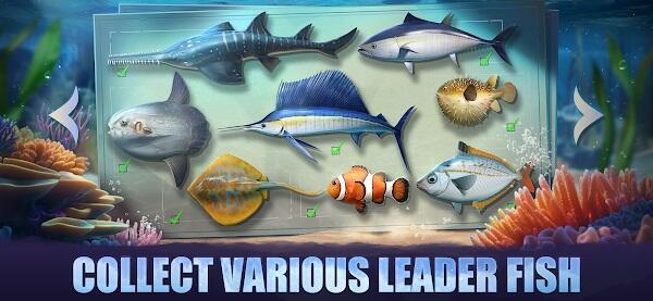 Top Fish Ocean Game Mod APK Unlimited Money