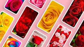 Rose Wallpapers 4K ဖန်သားပြင်ဓာတ်ပုံ 0