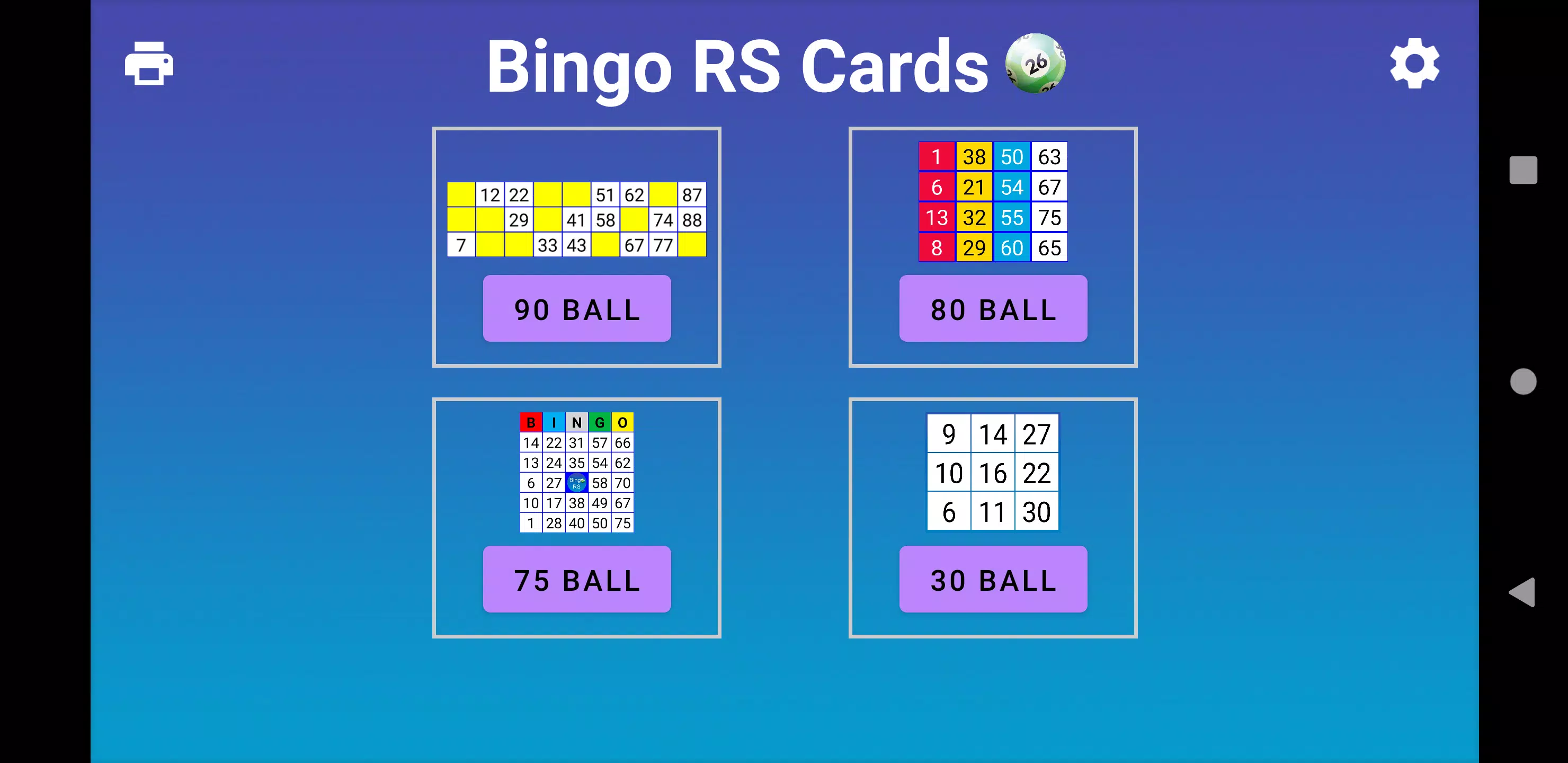 Bingo RS Cards スクリーンショット 0