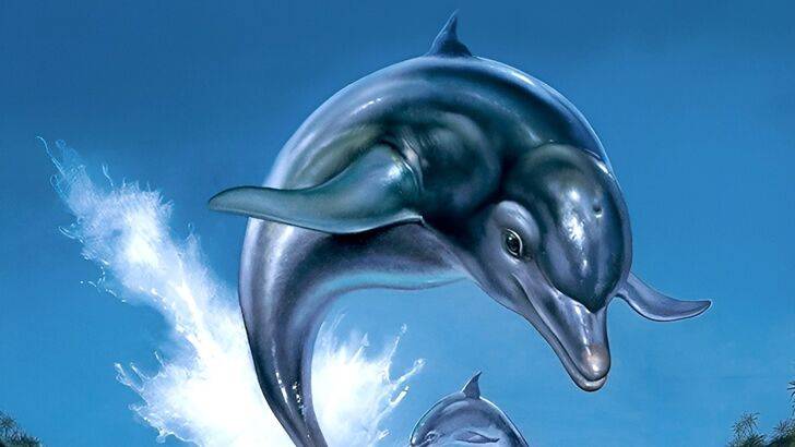 Ecco the Dolphin Торговая марка Sparks Слухи о возвращении 
