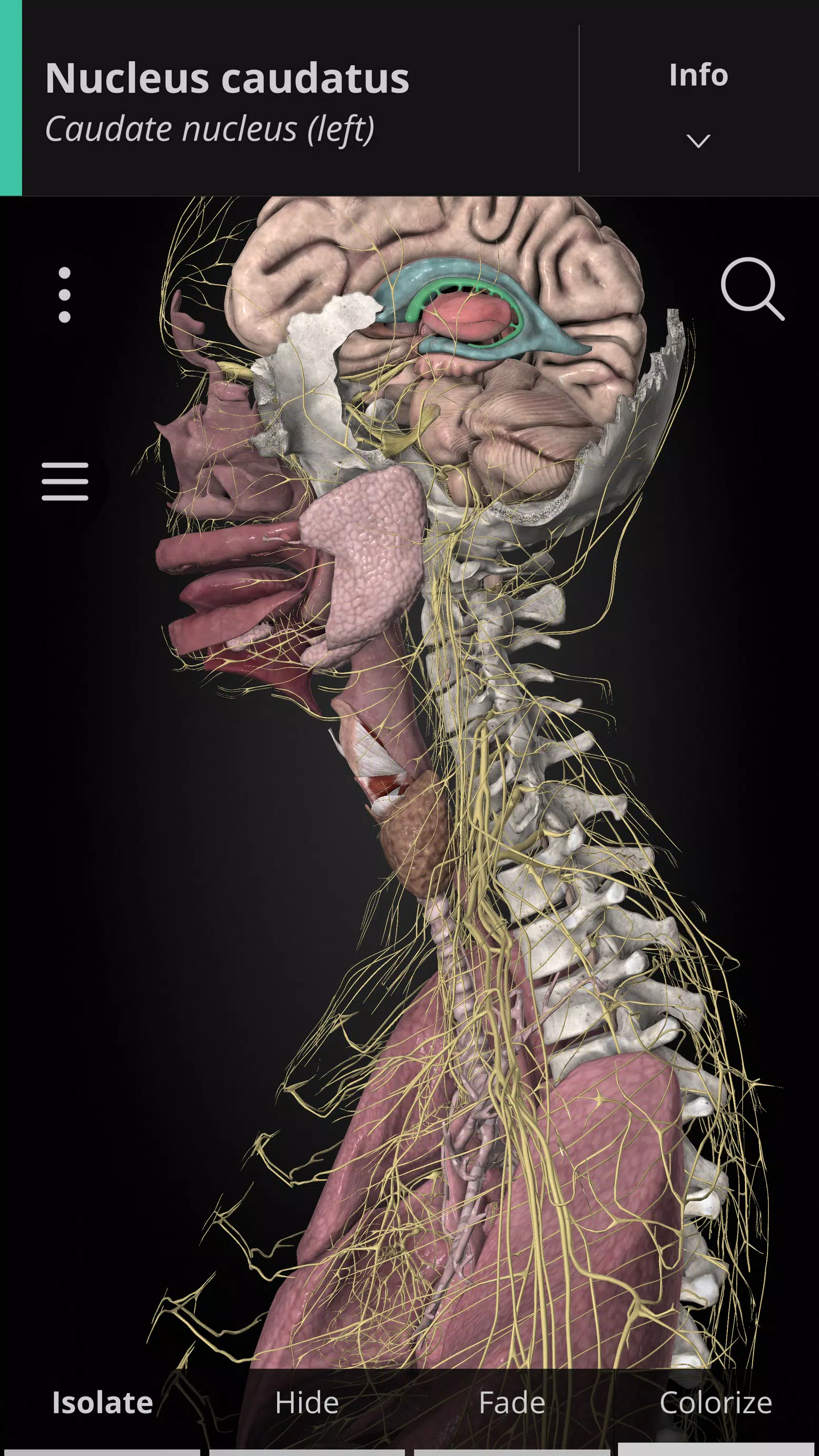 Anatomyka - 3D Anatomy Atlas ภาพหน้าจอ 0