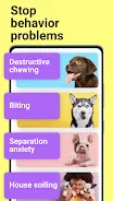 Dog whistle & training app 螢幕截圖 3