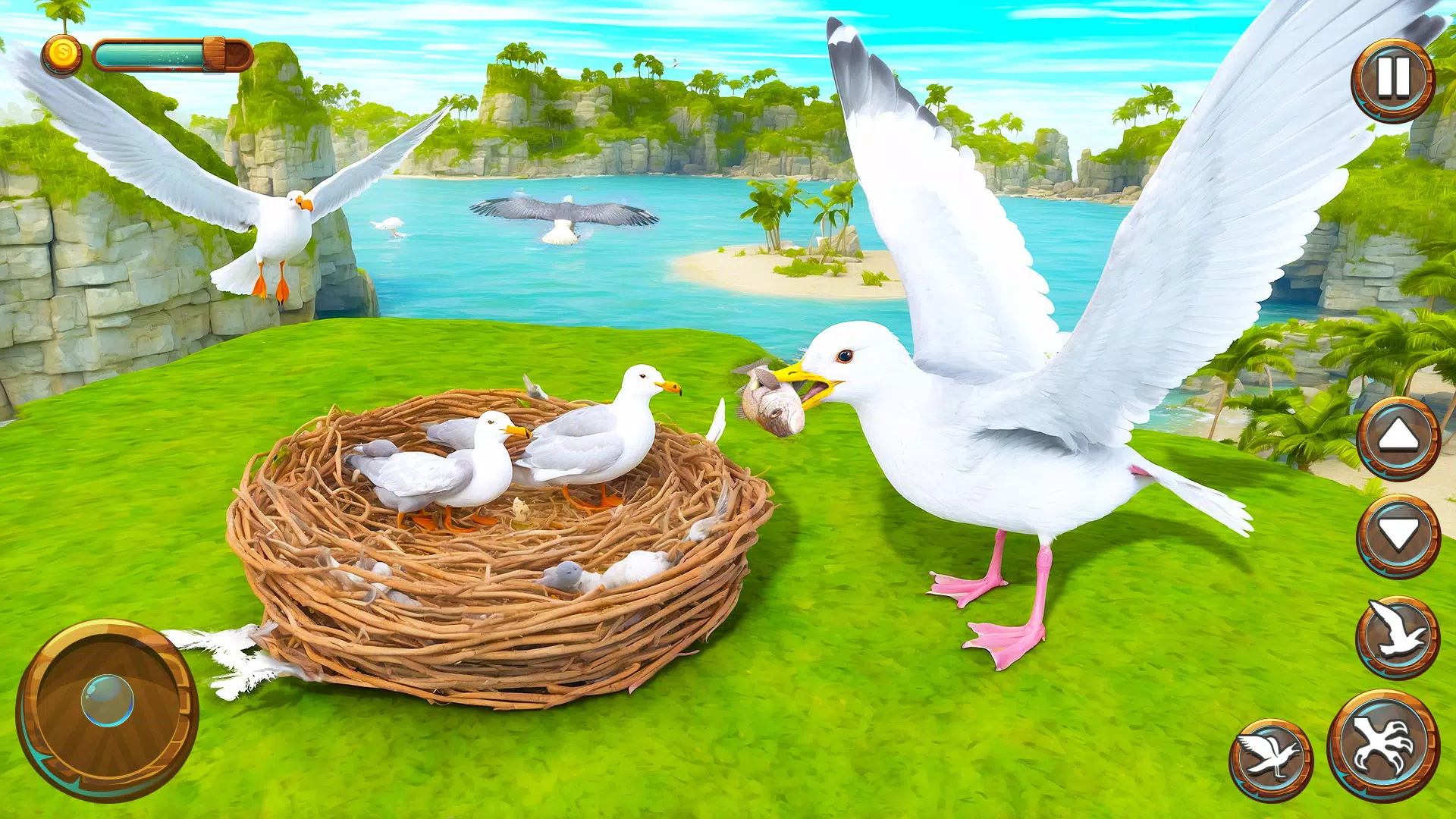 Seagull Bird Life Simulator Screenshot 3