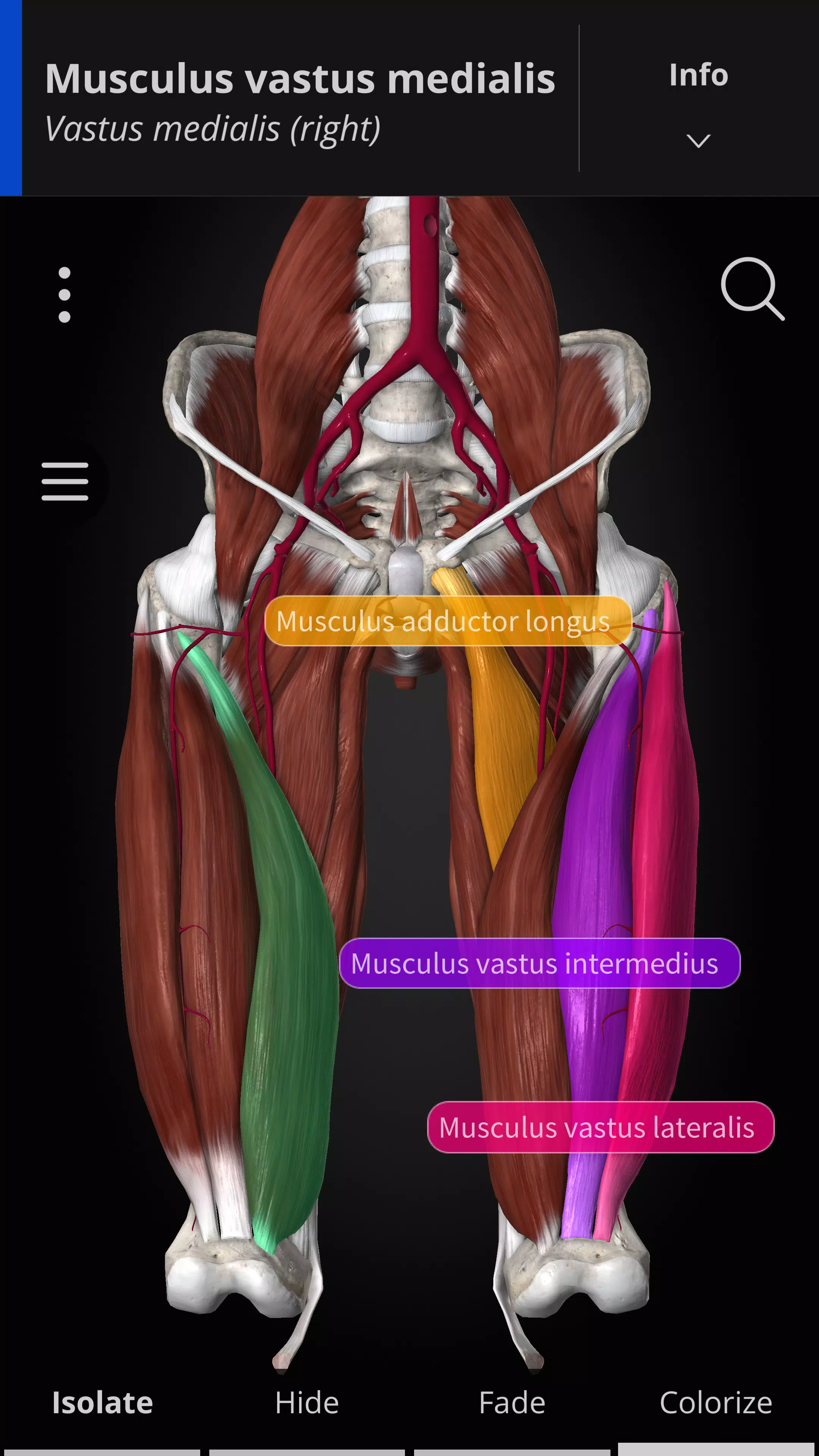 Anatomyka - 3D Anatomy Atlas Screenshot 1