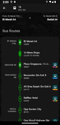 SG Bus Arrival Times Zrzut ekranu 3