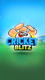 WCC Cricket Blitz スクリーンショット 0