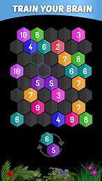 Merge Hexa - Number Puzzle Ảnh chụp màn hình 1