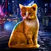 Stray Cat Game City Simulator