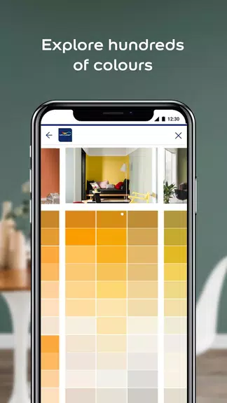 Dulux Visualizer ZA Screenshot 1