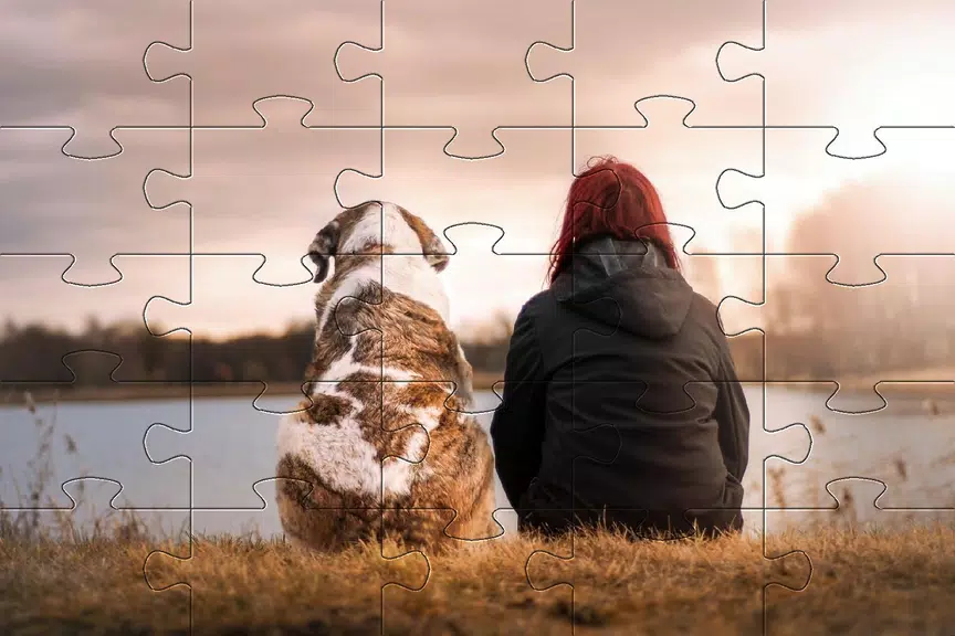 Jigsaw puzzle without internet স্ক্রিনশট 3