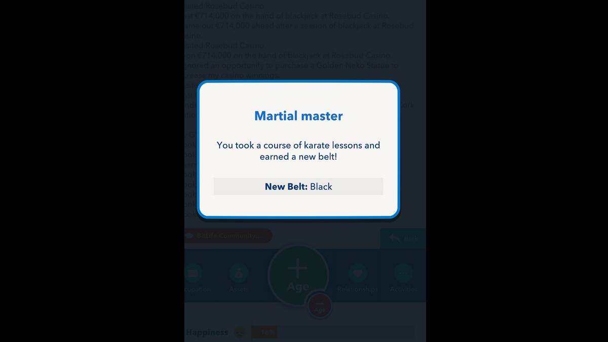 Bitlife Black Cinturón ganado