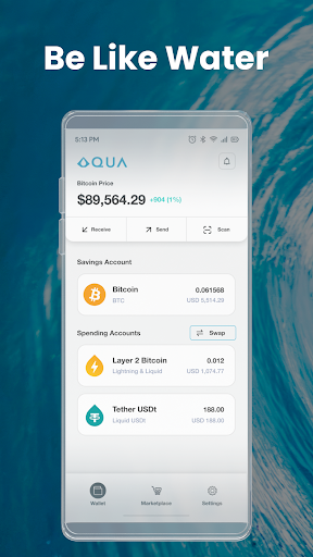 AQUA Wallet Captura de pantalla 1