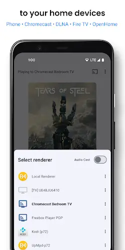 BubbleUPnP DLNA/Chromecast Screenshot 1