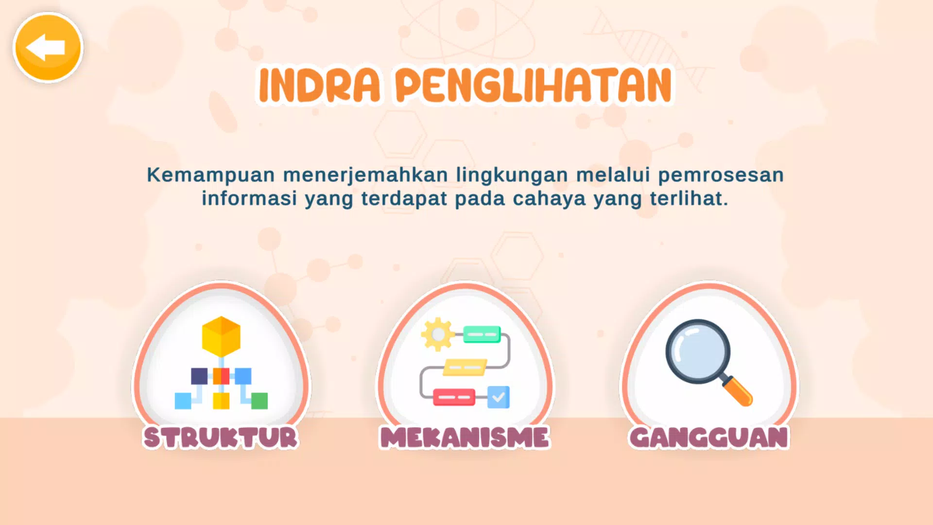 Sistem Indra Manusia Schermafbeelding 2