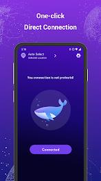 Dolphin VPN-Fast & Stable应用截图第1张