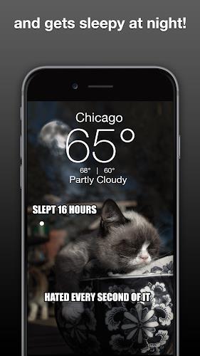 Grumpy Cat Weather Captura de tela 2