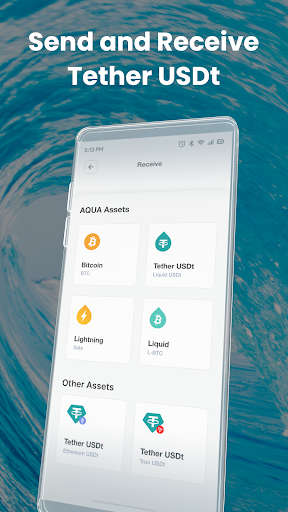 AQUA Wallet Captura de pantalla 2