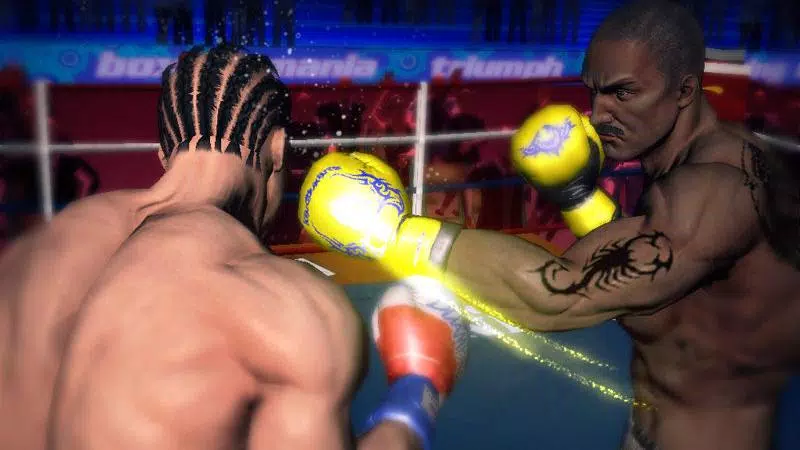 Punch Boxing 3D Ảnh chụp màn hình 1