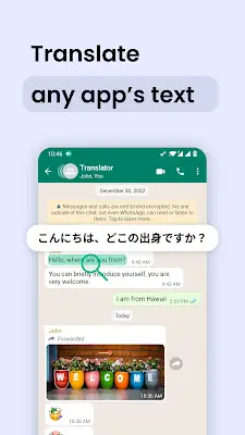 Instant Translate On Screen 螢幕截圖 1