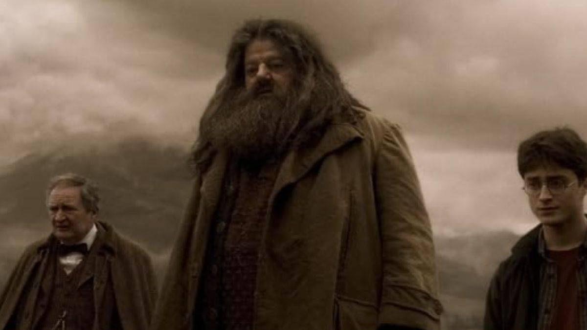 Robbie Coltrane as Hagrid in Harry Potter and the Half-Blood Prince